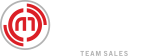 MonkeySports Team Sales Logo